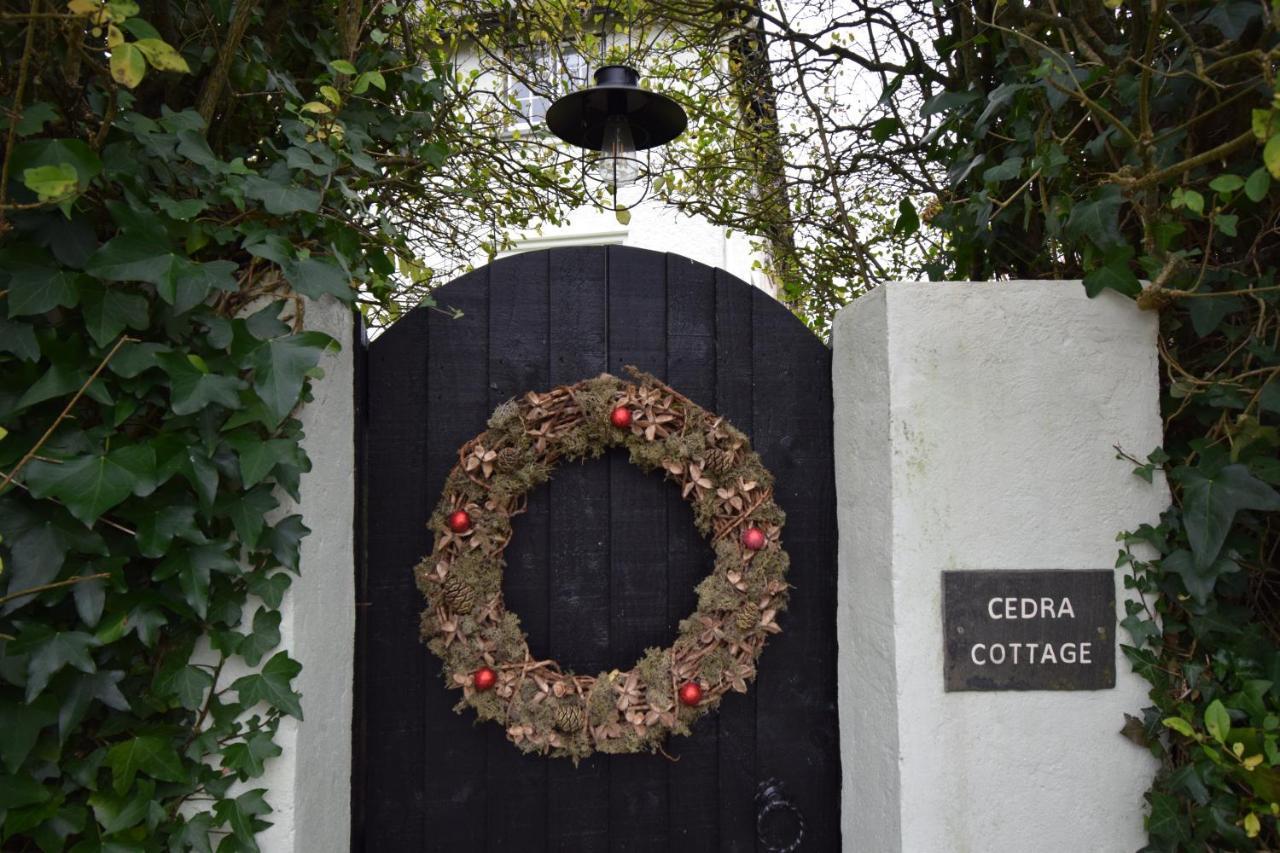 אקסמינסטר Cedra Cottage - Vintage Country Hideaway מראה חיצוני תמונה