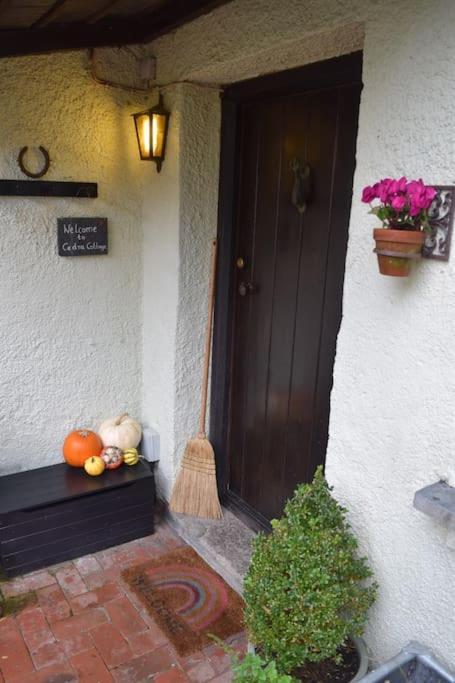 אקסמינסטר Cedra Cottage - Vintage Country Hideaway מראה חיצוני תמונה